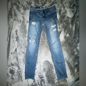 Hollister low rise, jeans size 5